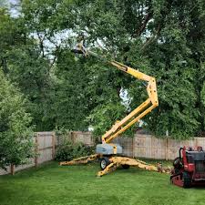 Lawn Edging in Jefferson Hills, PA