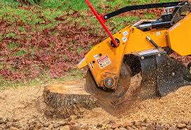 Best Weed Control  in Jefferson Hills, PA